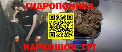 тгк Краснокаменск