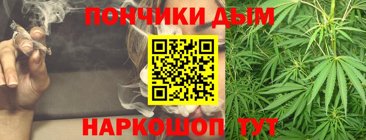 Шишки марихуана конопля Кострома